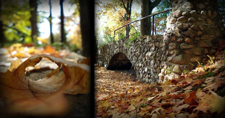 Mt. Pleasant, Michigan [Fall Wonderland / 2007]