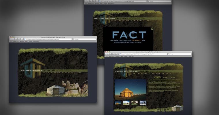 Unconventional Housing [Interactive Website / 2008]